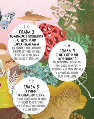 Тайна грибов - Фото 2