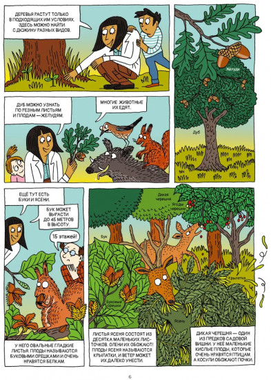 Лес и его обитатели
