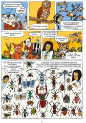 Лес и его обитатели - Фото 3