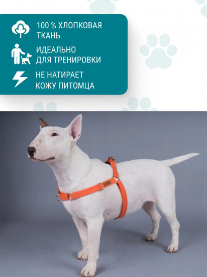 Шлейка для собак регулируемая