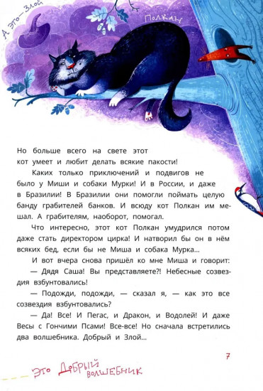 Мишка — друг Гагарина, или Новые приключения собаки Мурки и кота Полкана