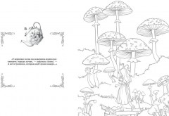 Алиса в Зазеркалье. Раскраска-путешествие. Книга 2 - Фото 3