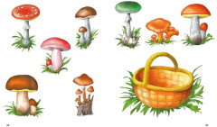 Развитие речи. Уроки с логопедом. Методика Косиновой - Фото 7