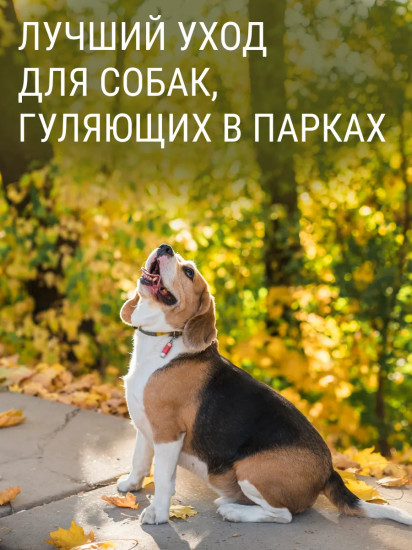 Шампунь для собак от блох и клещей «Bye Bye»