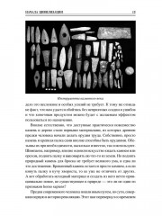 100 великих достижений цивилизации - Фото 11