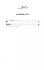 Петербургские повести - Фото 7