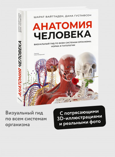 Анатомия человека. Визуальный гид по всем системам организма: норма и патологии