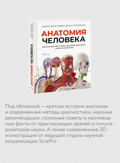 Анатомия человека. Визуальный гид по всем системам организма: норма и патологии