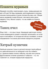 Насекомые и пауки. Детская энциклопедия - Фото 4
