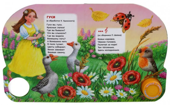 Книга музыкальная «Тень-тень потетень»