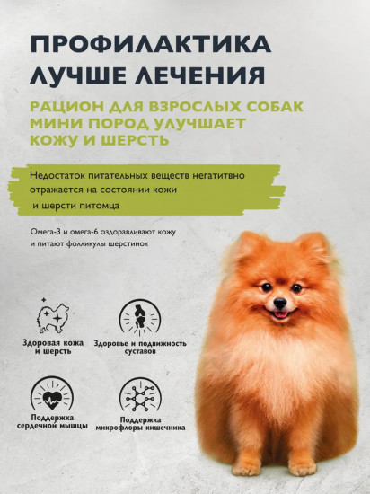 Корм сухой для взрослых cобак мини-пород с лососем и индейкой «Mini Adult. Healthy Skin & Shiny Coat»