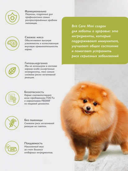 Корм сухой для взрослых cобак мини-пород с лососем и индейкой «Mini Adult. Healthy Skin & Shiny Coat»