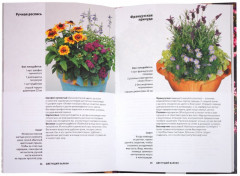 Цветущий балкон - Фото 1