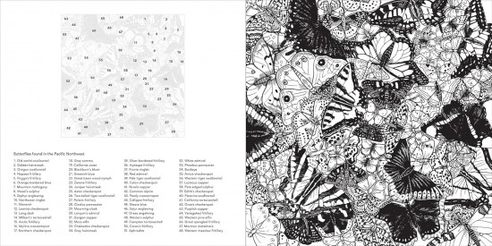 Color the Pacific Northwest. A Timber Press Coloring Book