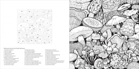 Color the Pacific Northwest. A Timber Press Coloring Book