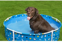 Бассейн каркасный для игр с домашними животными - Фото 1
