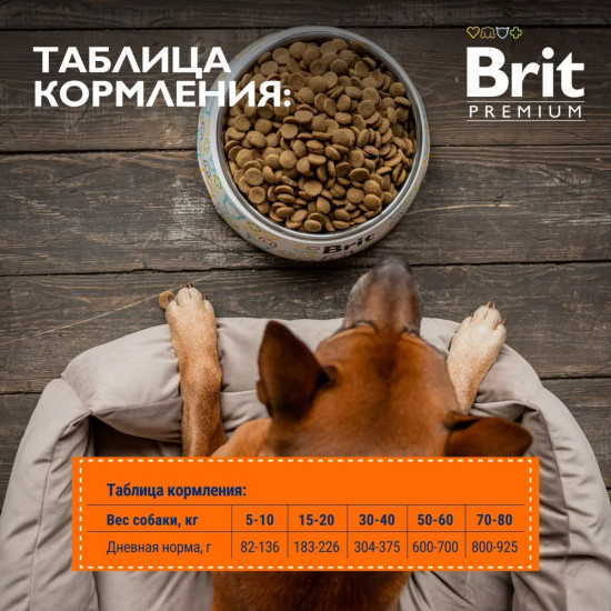 Корм для взрослых собак всех пород с высокой затратой энергии с курицей «Sport 5000»