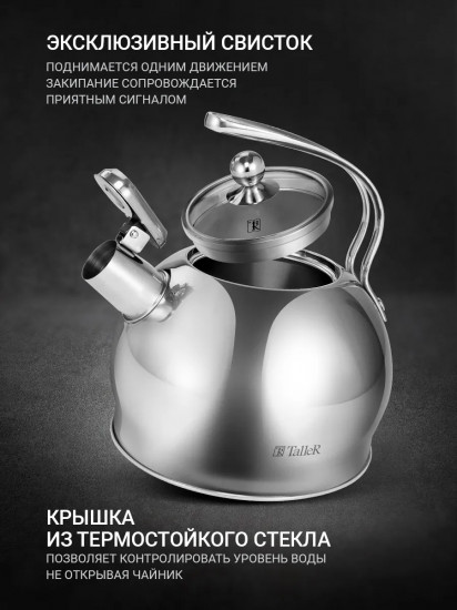 Чайник со свистком «Данкан»