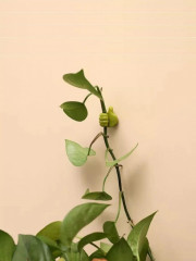 Набор держателей проводов и зарядок самоклеящихся - Фото 4