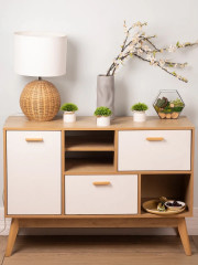 Набор растений декоративных в горшках «New Green» - Фото 1