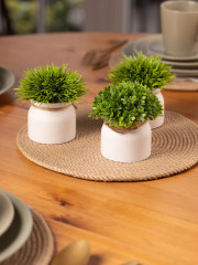 Набор растений декоративных в горшках «New Green» - Фото 4