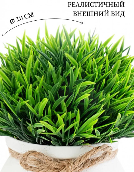 Цветок декоративный «Little Green»