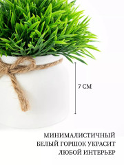 Цветок декоративный «Little Green» - Фото 5