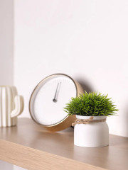 Цветок декоративный «Little Green» - Фото 6