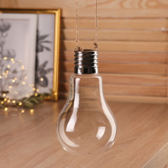 Флорариум «Лампочка с верёвкой» - Фото 1