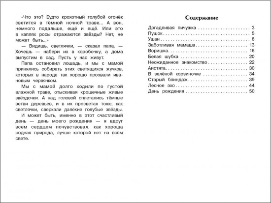 Лесное эхо