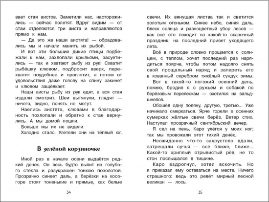 Лесное эхо