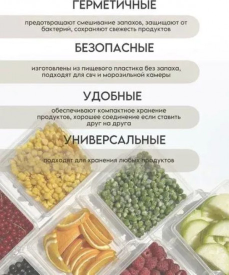 Набор контейнеров для заморозки «Asti»