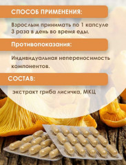 Экстракт растительный «Лисичка» - Фото 1