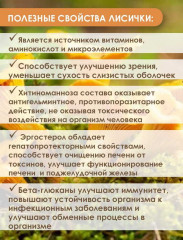 Экстракт растительный «Лисичка» - Фото 2