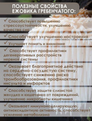 Экстракт растительный «Ежовик гребенчатый» - Фото 1