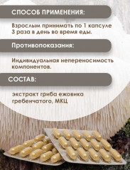 Экстракт растительный «Ежовик гребенчатый» - Фото 2