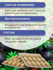 Экстракт растительный «Шикша» - Фото 2