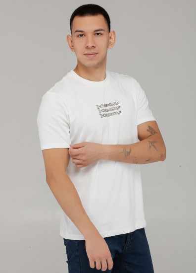 Футболка мужская