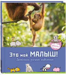 Чудеса животного мира. Комплект из 4 книг - Фото 5