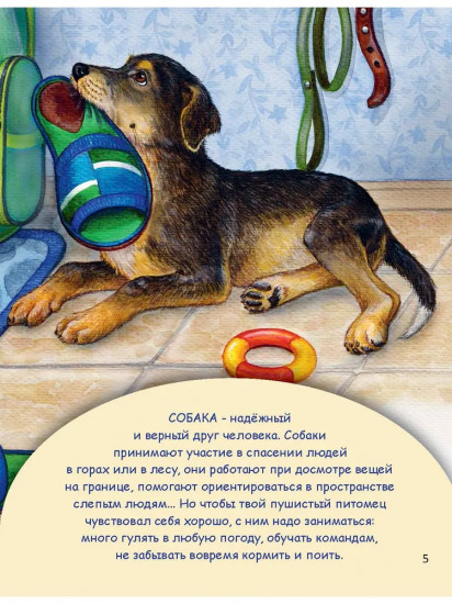 Домашние питомцы