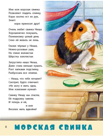 Домашние питомцы
