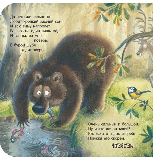 Лесная угадайка