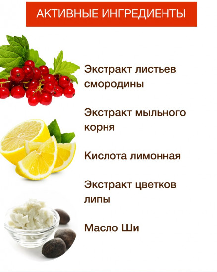 Мыло для ухода за телом и волосами с натуральным экстрактом смородины «Смородина»