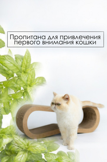 Когтеточка-лежанка «Восьмерка»