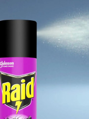 Спрей универсальный от бегающих и летающих насекомых - Фото 3