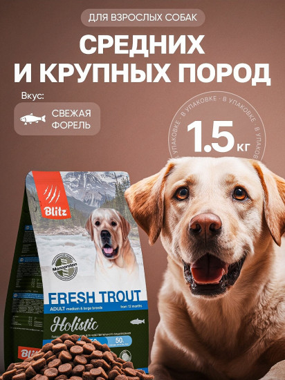 Корм сухой для взрослых собак при чувствительном пищеварении со свежей форелью