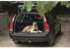 Миска для корма и воды «Picnic» - Фото 2