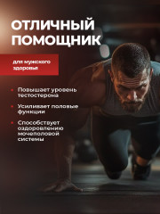 Настойка женьшеня - Фото 3
