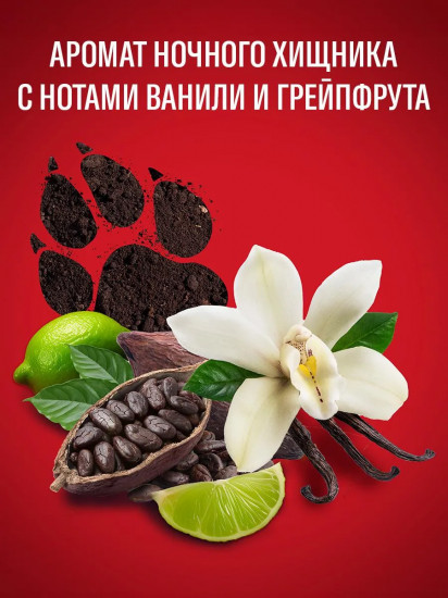 Дезодорант-спрей для мужчин «Nightpanther»