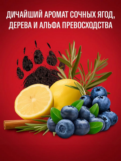 Дезодорант-спрей для мужчин «Bearglove»